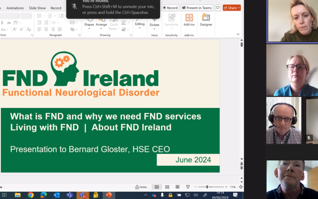 Members of our FND Ireland team met with Bernard Gloster, HSE CEO on the 4th June 2024