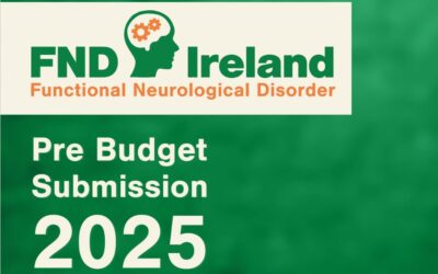 FND Ireland looks for your support with our key Budget 2025 asks as the Dail and Seanad returns on the 18th September 2024